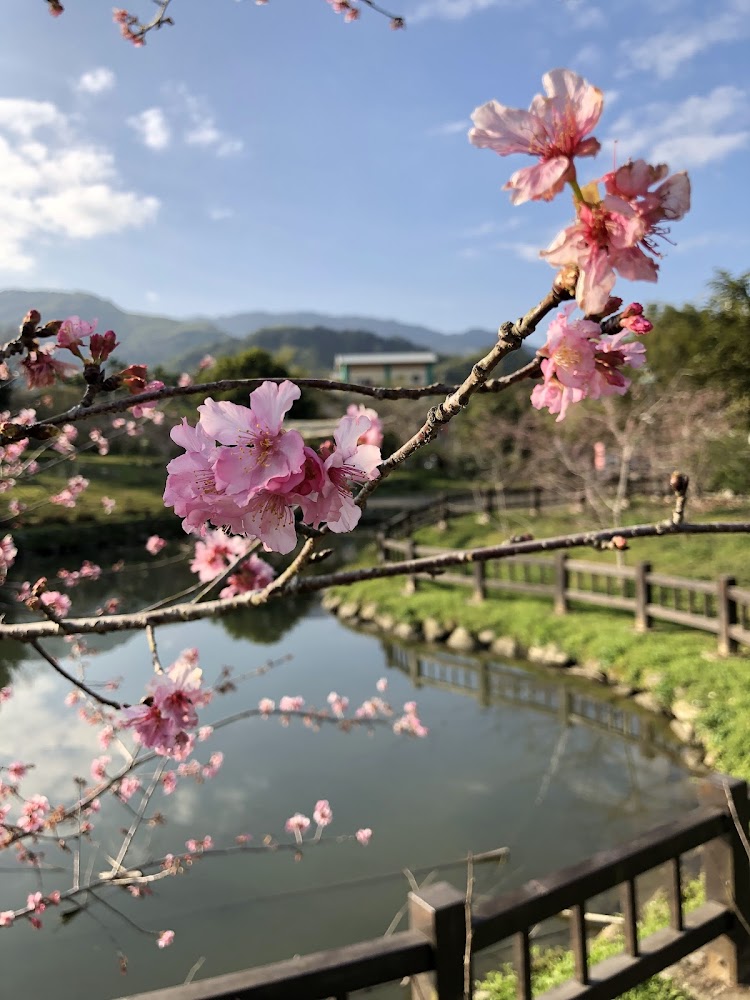 小半天石馬公園