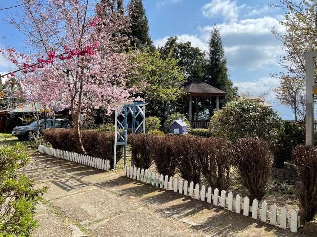 桃山渡假農場櫻花與木屋