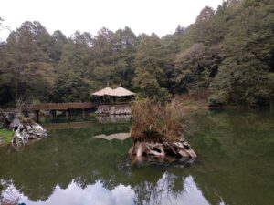 嘉義阿里山｜嘉義阿里山自由行攻略【2025最新】：避開人潮看日出、雲海與神木的5個秘訣