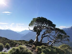 登山步道｜登山步道推薦【2025最新】：全台10條從新手到百岳的絕美路線攻略