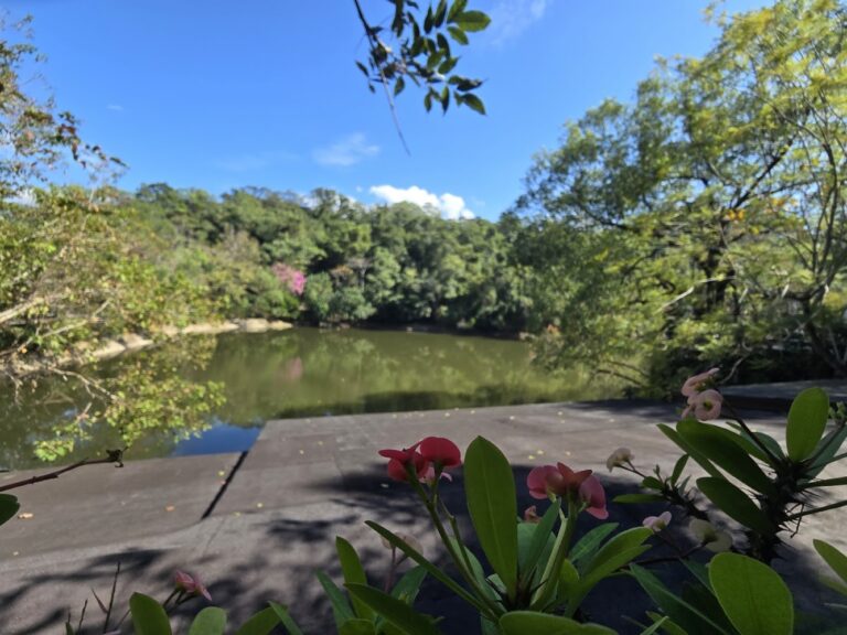 湖畔花時間｜湖畔花時間住宿評價【2025】：獨享苗栗美人湯與絕美湖景，寵物友善推薦