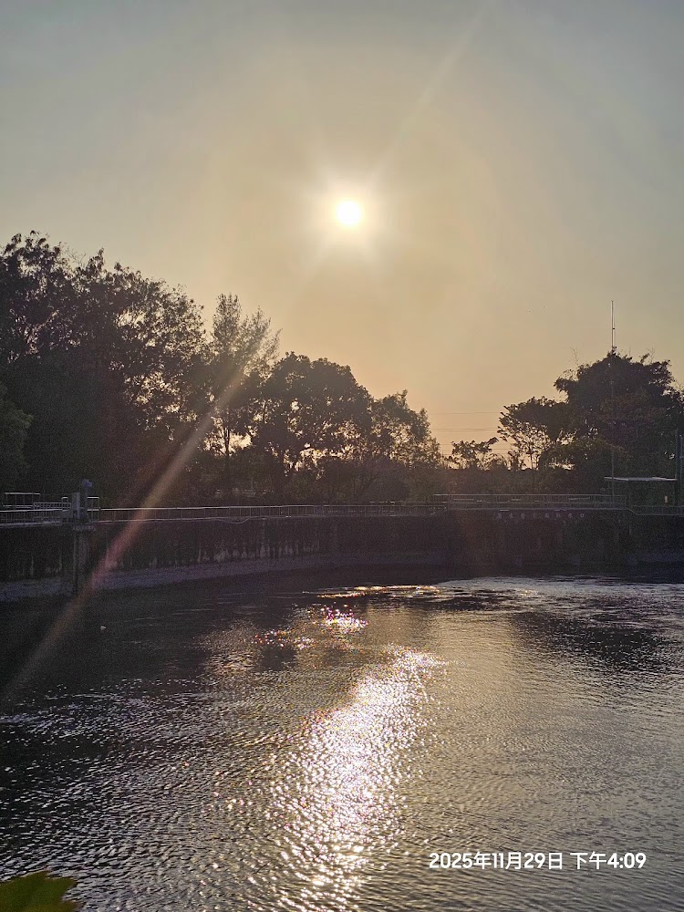 雲林落羽松｜雲林落羽松秘境攻略：免費水圳倒影與親子鹿園【2025最新】
