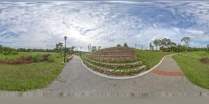 落羽松公園｜落羽松公園怎麼拍？大溪S型夢幻步道與停車交通懶人包【2025】