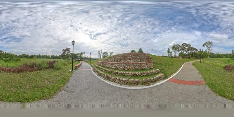 落羽松公園｜落羽松公園怎麼拍？大溪S型夢幻步道與停車交通懶人包【2025】