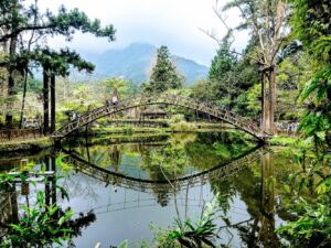 溪頭森林遊樂區｜溪頭森林遊樂區全攻略：2025 避暑勝地推薦，漫步大學池與空中走廊感受芬多精