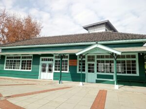 阿里山小火車｜阿里山小火車 2025 旅遊攻略：精選 6 大核心站點與森林鐵路懶人包