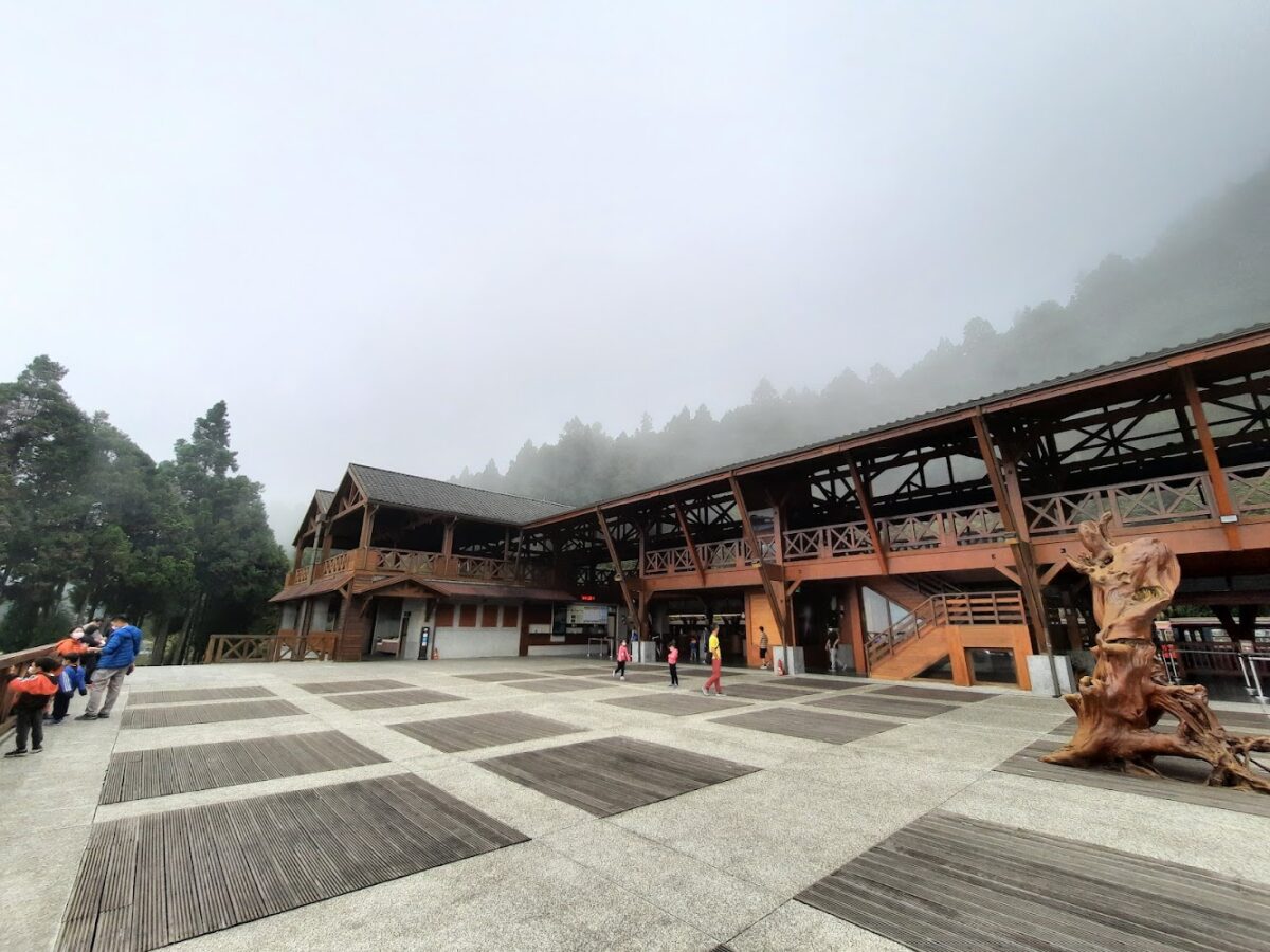 阿里山森林遊樂區｜阿里山森林遊樂區全攻略：2025 必訪日出雲海、巨木群步道與森林鐵道行程規劃
