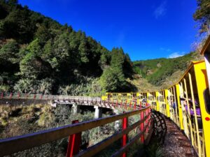 太平山國家森林遊樂區｜太平山國家森林遊樂區 2025 旅遊攻略：走進蹦蹦車、見晴懷古步道與雲海秘境