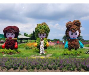 台中旅遊｜台中旅遊推薦 2025 精選 5 大熱門景點：從絕美花海到百年古蹟深度遊