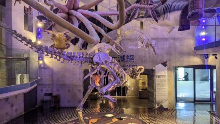 左鎮化石園區｜左鎮化石園區 2025 旅遊全攻略：台南必訪親子室內景點，穿越時空的史前冒險