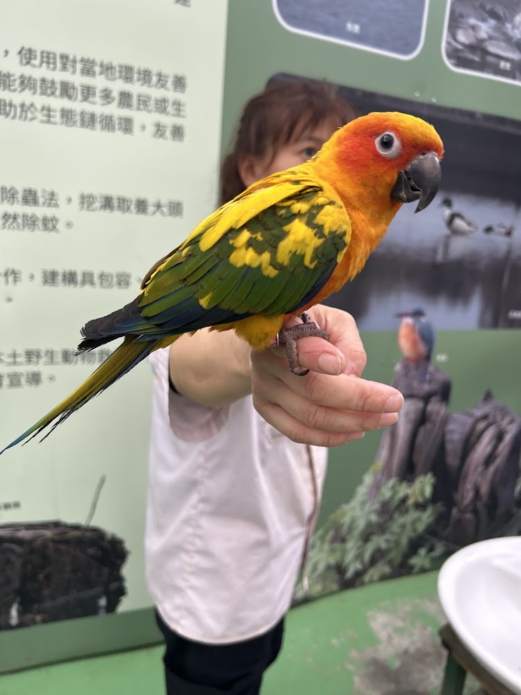 蘭陽動植物王國｜蘭陽動植物王國 2025 宜蘭壯圍必訪：超萌狐獴水豚互動，純淨無異味的親子療癒天堂