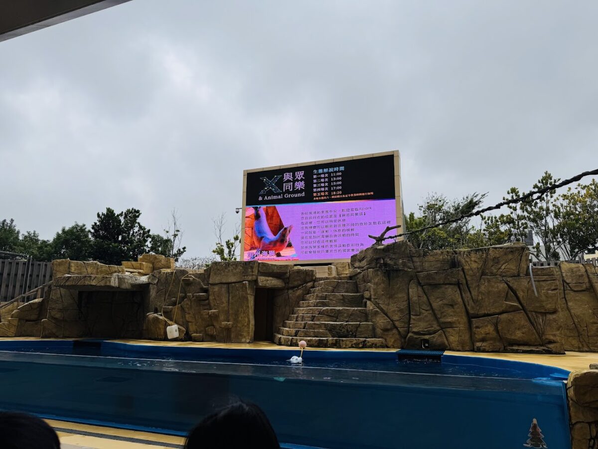 xpark｜Xpark 桃園青埔水族館 2025 攻略：沈浸式海洋美學、夢幻水母與企鵝奇遇深度評測