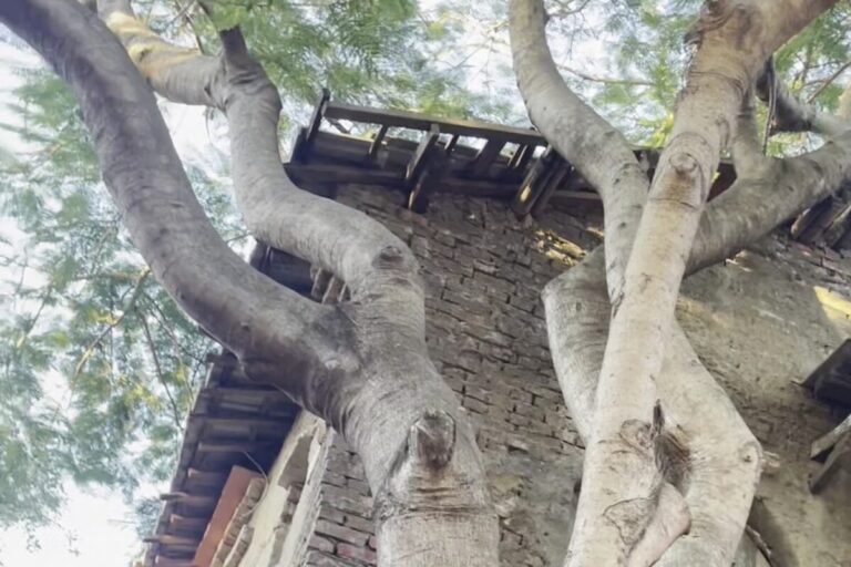 老塘湖藝術村｜2025老塘湖藝術村攻略：台南學甲廢墟風古鎮，古裝體驗與手拉船