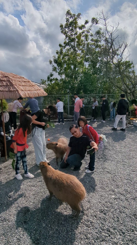 張美阿嬤農場｜2025張美阿嬤農場門票交通攻略！宜蘭三星親子景點餵水豚、拔蔥DIY體驗