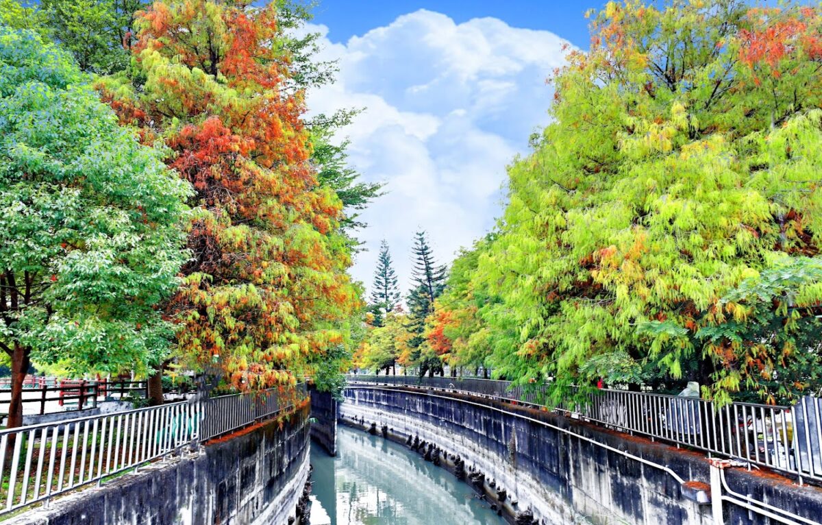 雲林景點｜2025雲林景點推薦！嚴選8大絕美秘境，從雲嶺之丘到浪漫落羽松