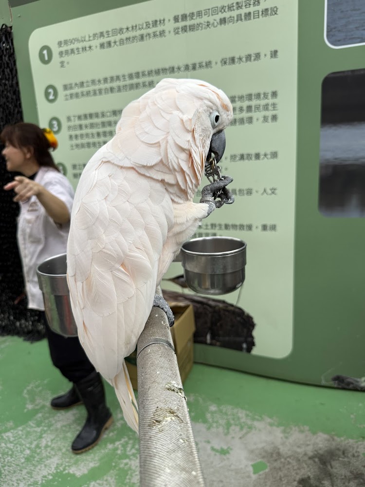 蘭陽動植物王國｜蘭陽動植物王國2025攻略！日式庭園遊船、零距離水豚互動與票價交通懶人包