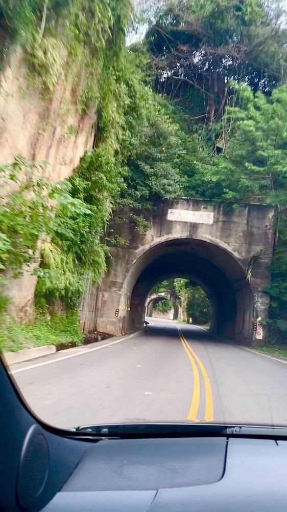 泰安溫泉｜泰安溫泉 2025 深度旅遊攻略：苗栗森林系美人湯、交通與周邊景點全指南