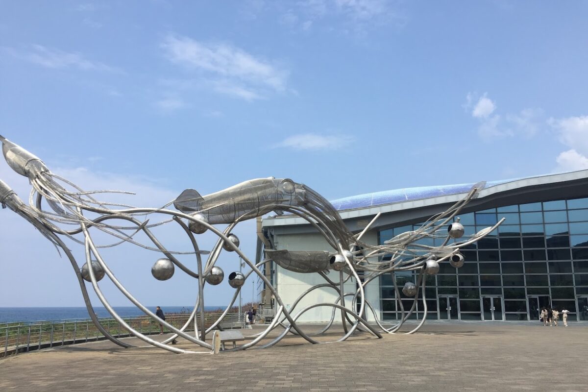 國立海洋生物博物館票券資訊｜國立海洋生物博物館票券資訊2025：門票優惠、夜宿預約與必玩展區攻略