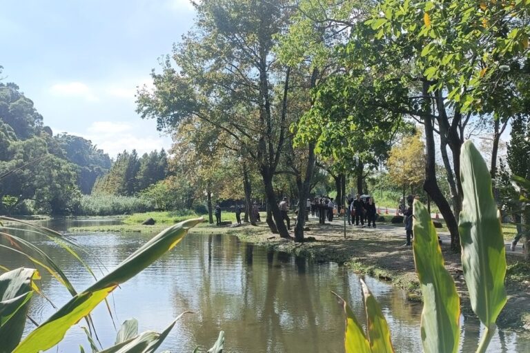 月眉人工濕地生態公園｜月眉人工濕地生態公園 2025 旅遊攻略：探索大溪落羽松祕境與親子生態之旅