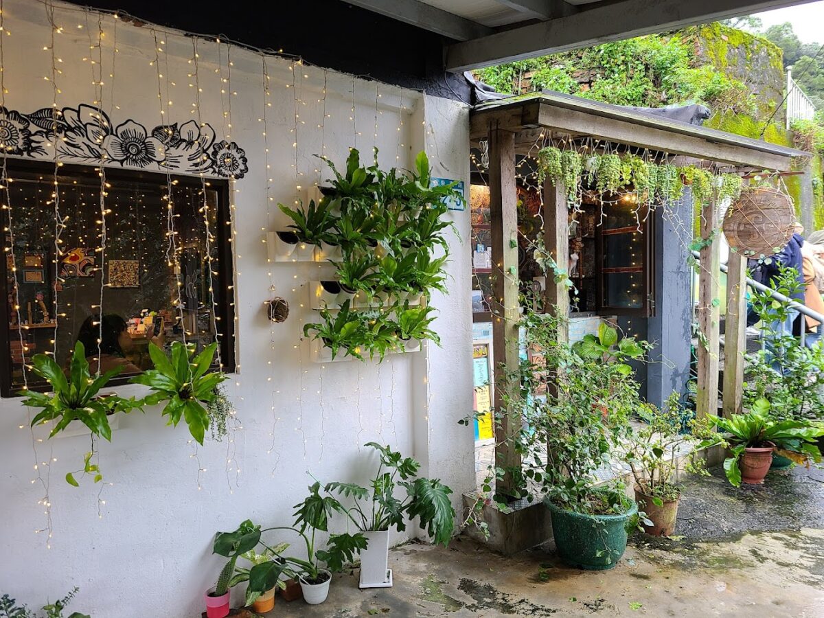 猴硐貓村｜猴硐貓村2025旅遊攻略：交通指南、必拍景點與貓咪咖啡廳推薦