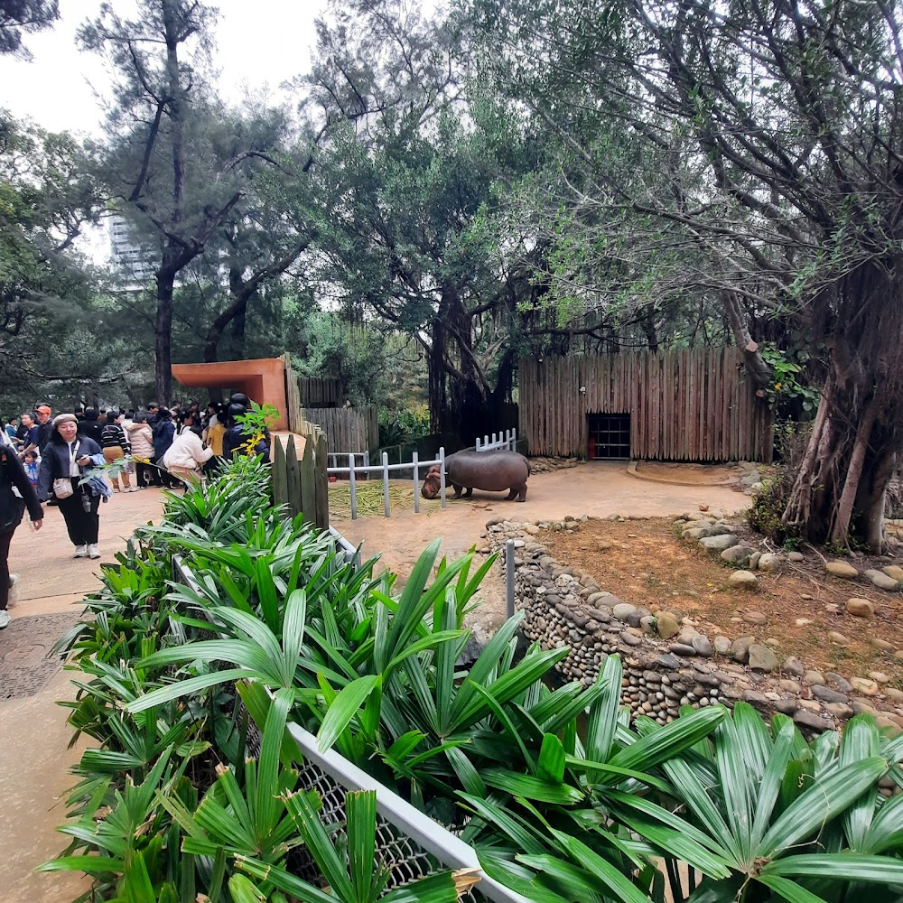 新竹動物園｜新竹動物園 2025 一日遊攻略：漫步都市綠洲，門票交通、明星動物與周邊景點評測