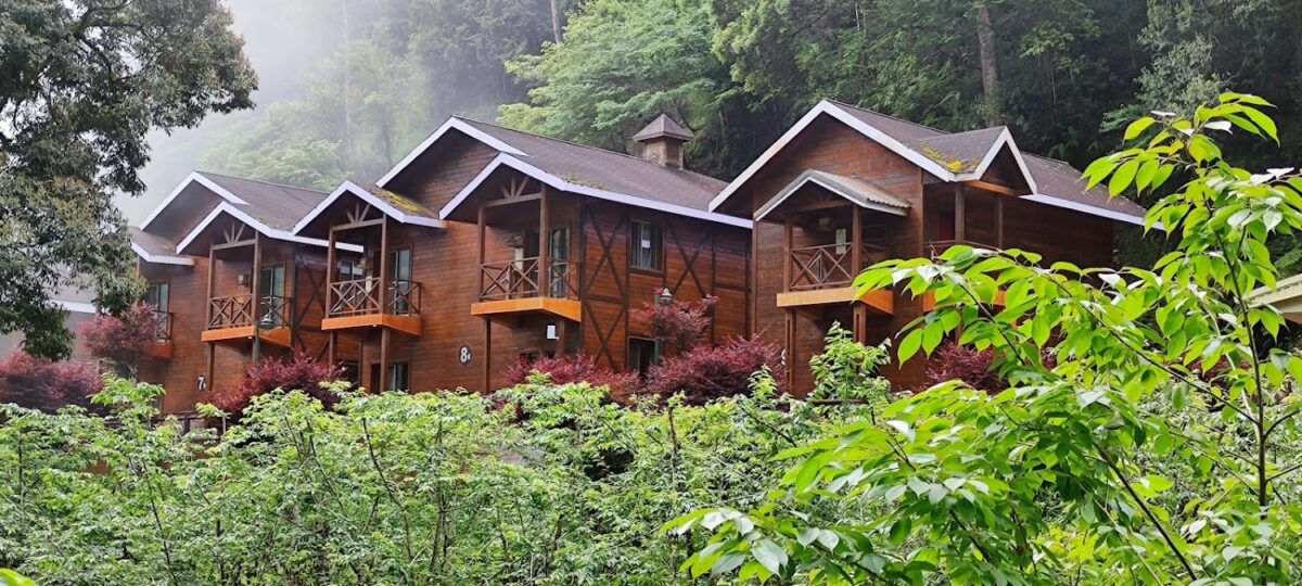 杉林溪住宿｜杉林溪住宿 2025 懶人包：精選 5 間園區飯店、夢幻小木屋與溪頭五星飯店比較