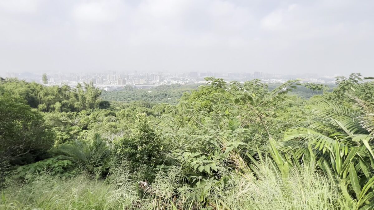 大坑9號步道｜大坑9號步道：2025台中後花園健行攻略，享受登山與市集美食的完美結合
