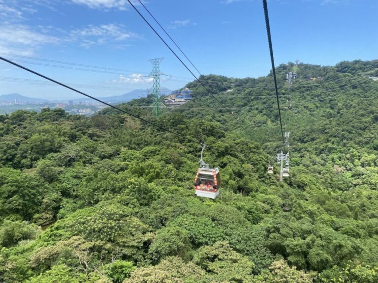 貓空纜車｜貓空纜車 2025 攻略：高空漫遊台北美景、水晶車廂與貓空站品茶全指南