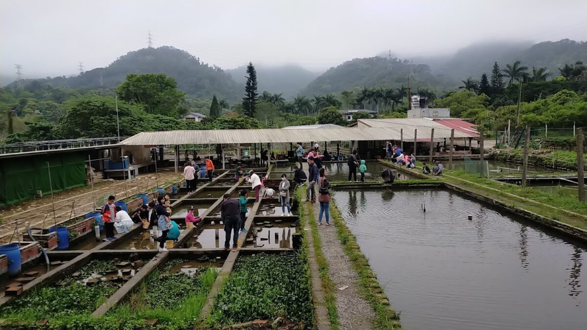 園區環境與魚池