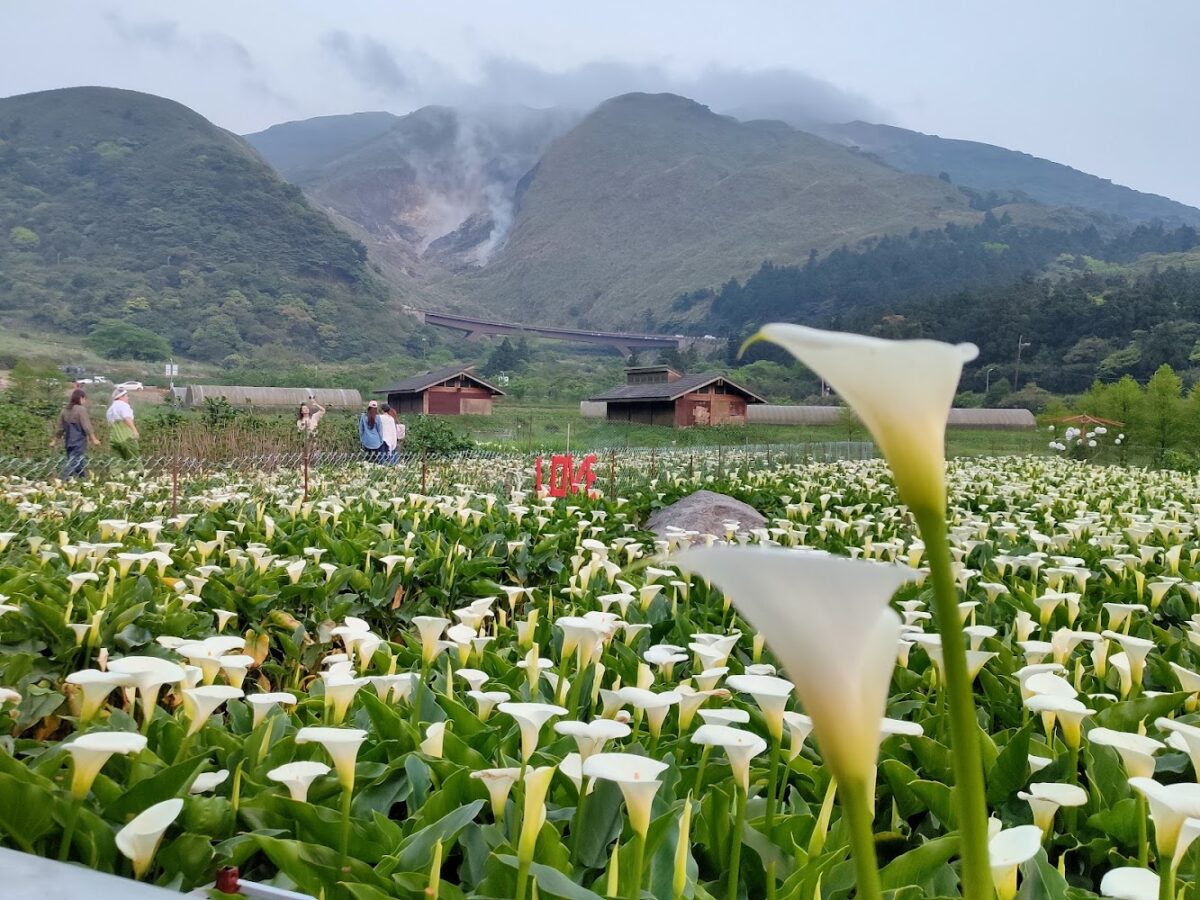 陽明山竹子湖全景