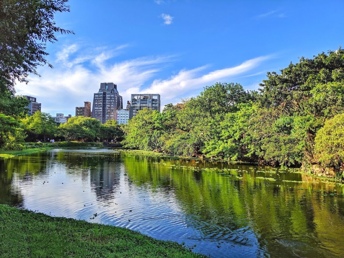 大安森林公園生態池