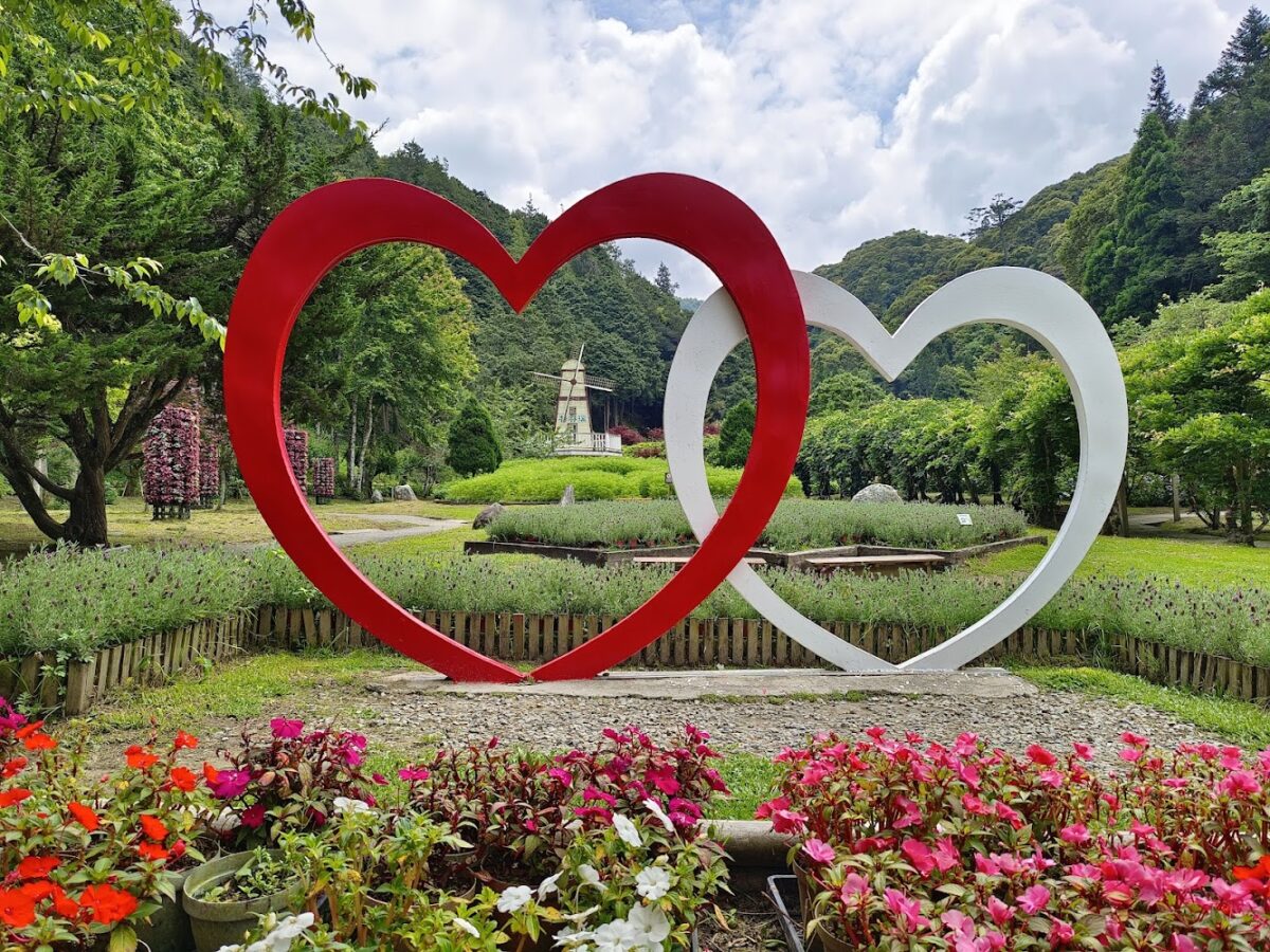 杉林溪花卉中心花海