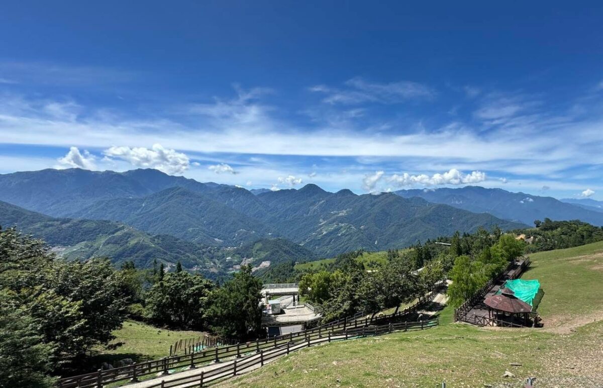 青青草原高空步道入口