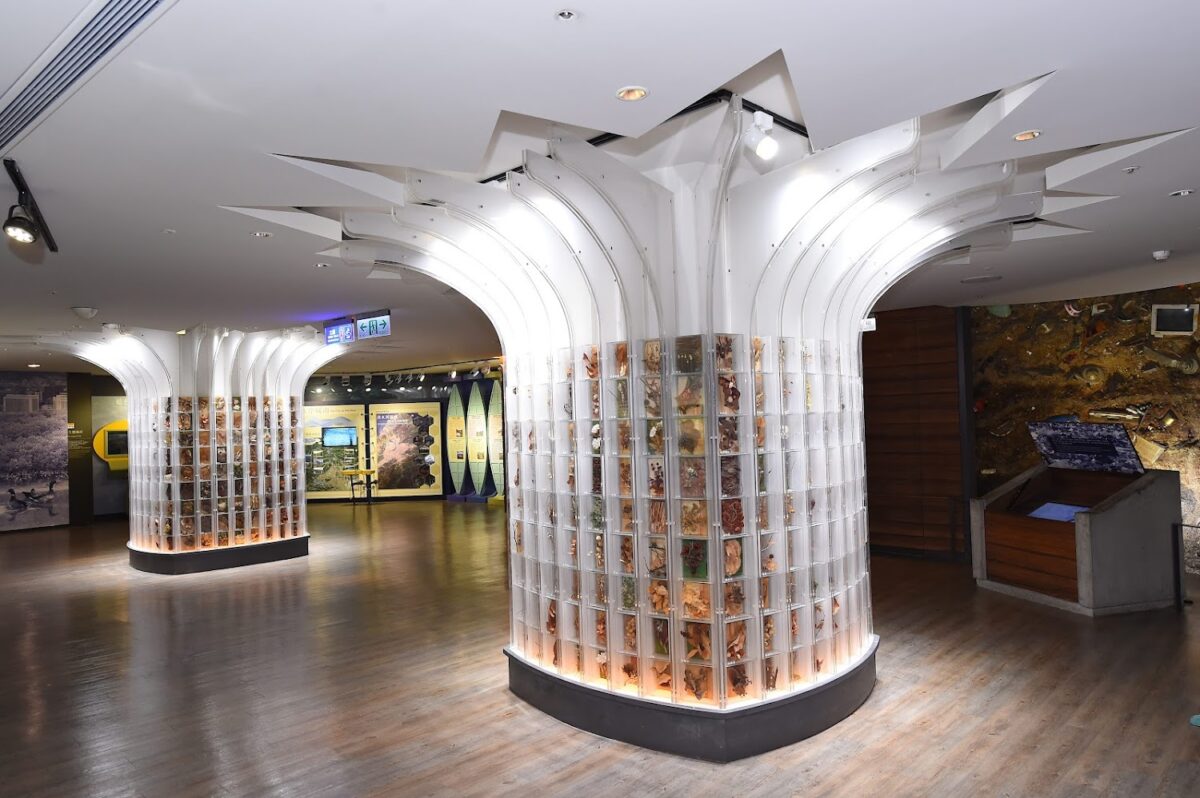 台北探索館內部展覽