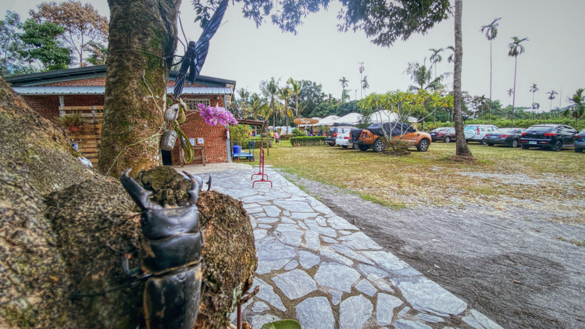 戴雅露營區環境