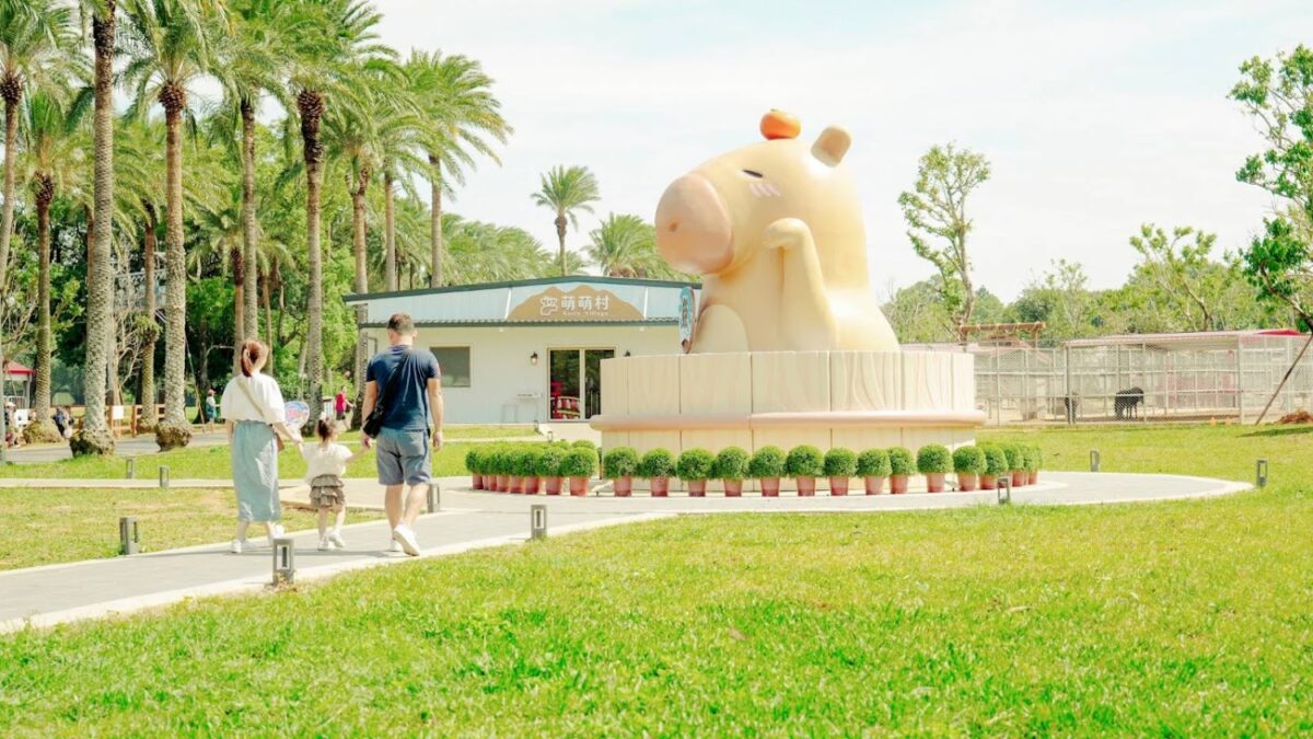 埔心牧場動物互動