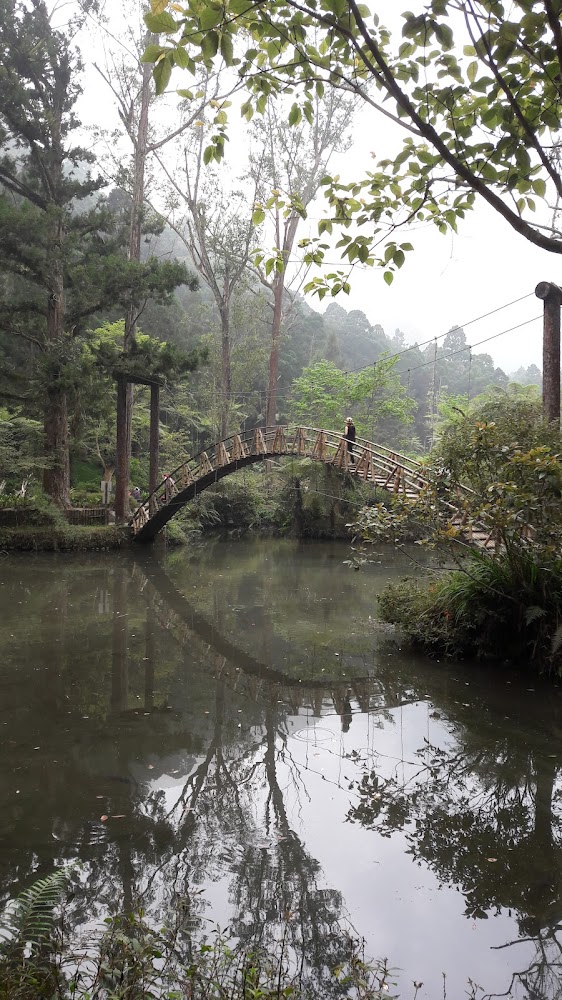 溪頭大學池