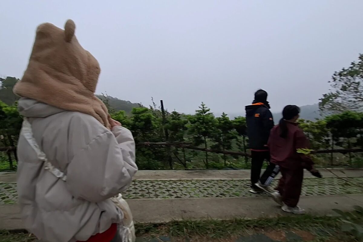 秀才步道秋季芒草盛開