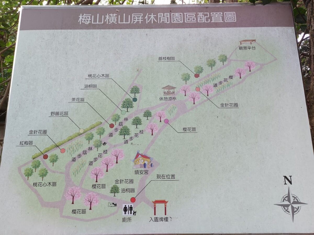 橫山屏休閒園區金針花海