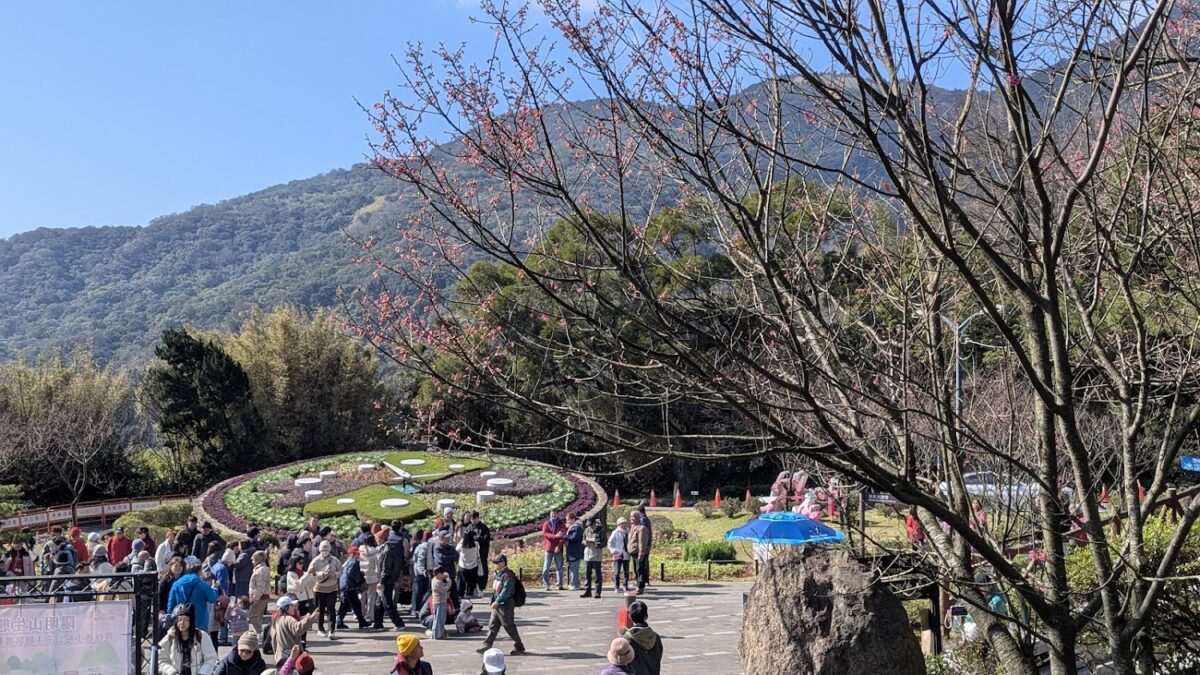 陽明山山景