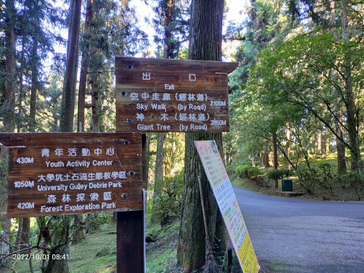 溪頭自然教育園區入口與周邊景色