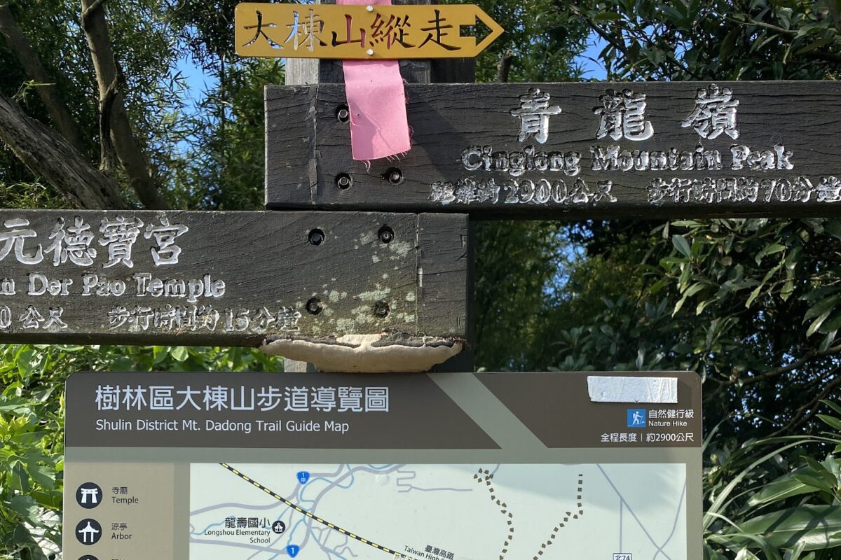大棟山登山步道林蔭與路況