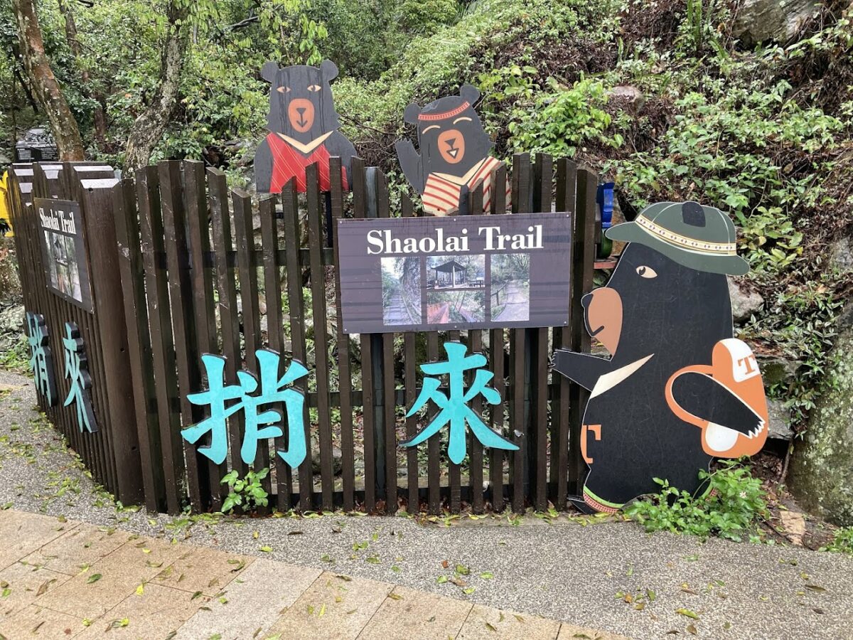捎來步道林蔭茂密