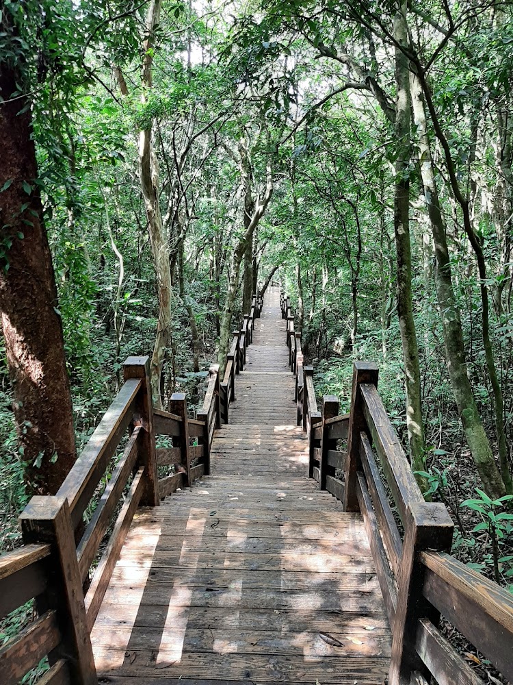 帽子山步道景觀