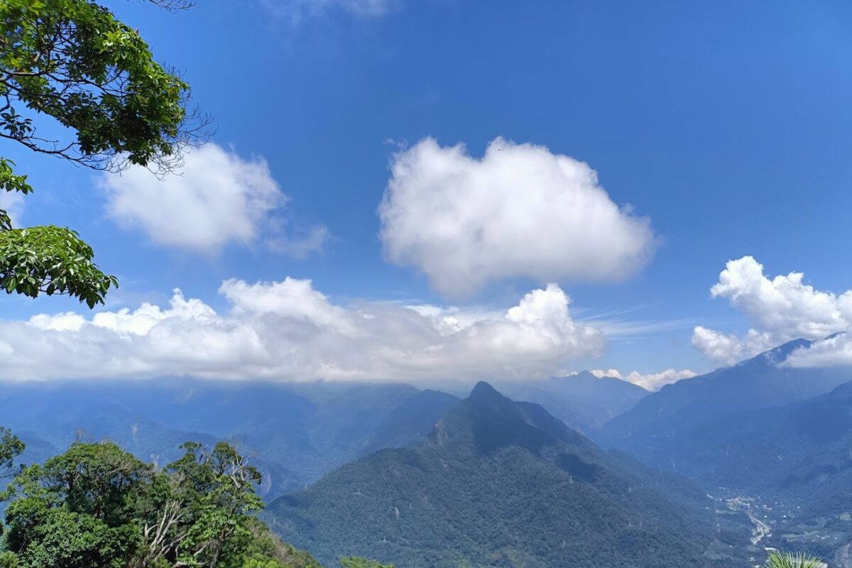 白毛山登山步道風景