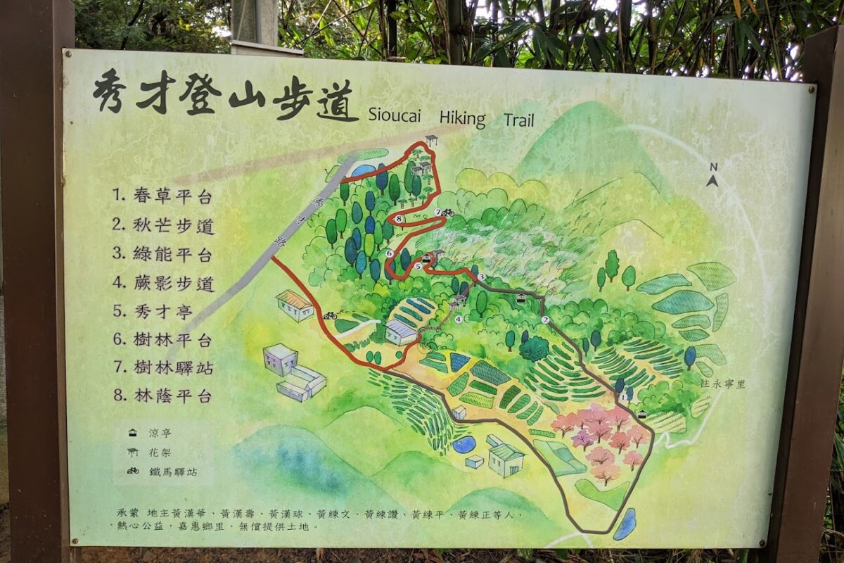秀才登山步道茶園風光