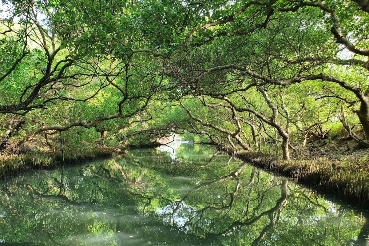 四草綠色隧道