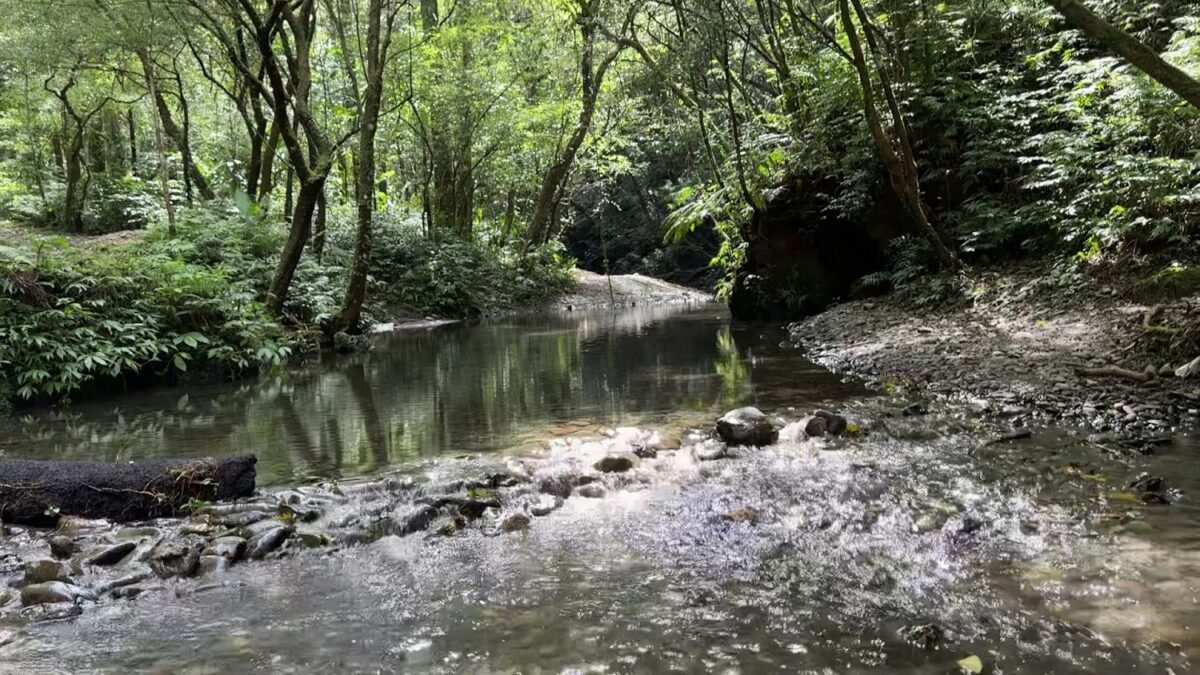 坪溪古道景色