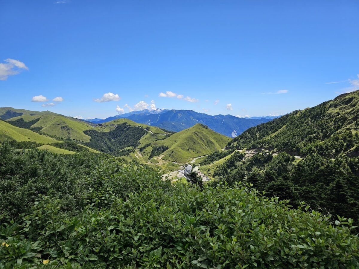 合歡山森林美景