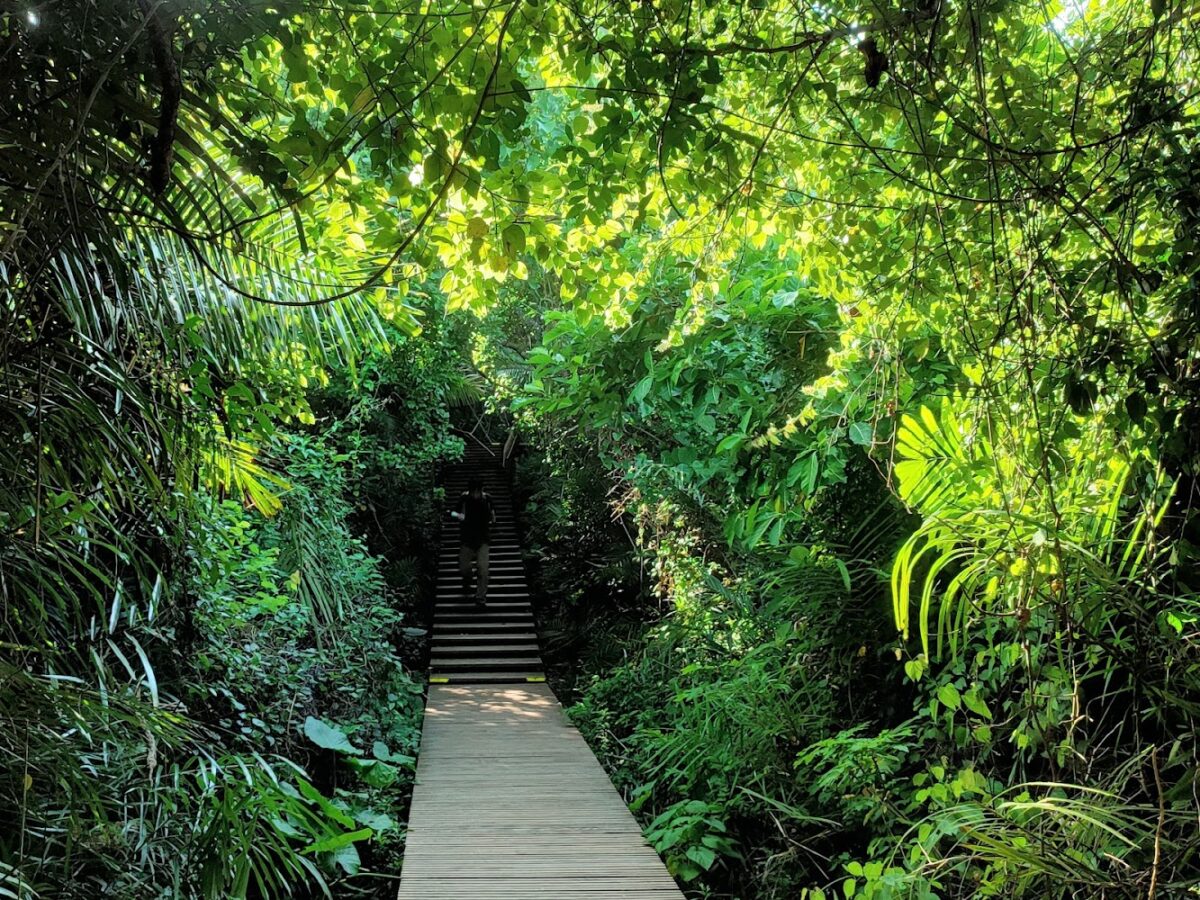 壽山國家自然公園入口與自然景觀